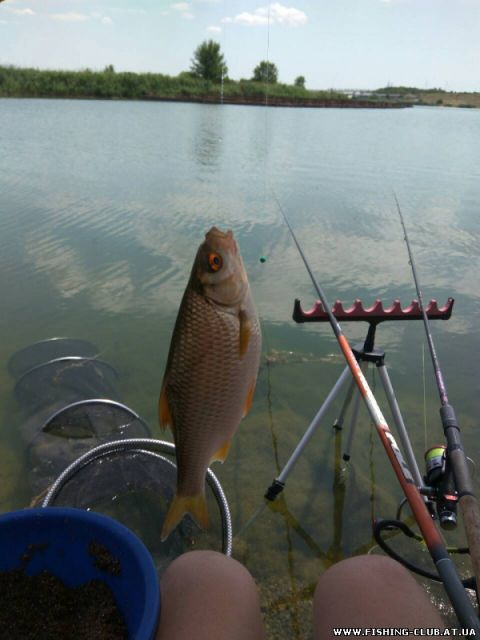 http://fishing-club.at.ua/_fr/22/s1702539.jpg